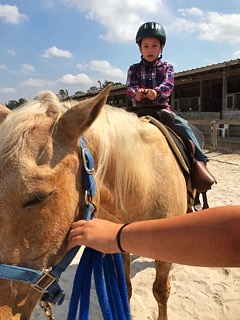Boy riding brown horse