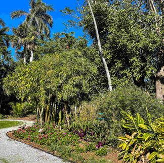 walkway at the Wonder Gardens in Bonita