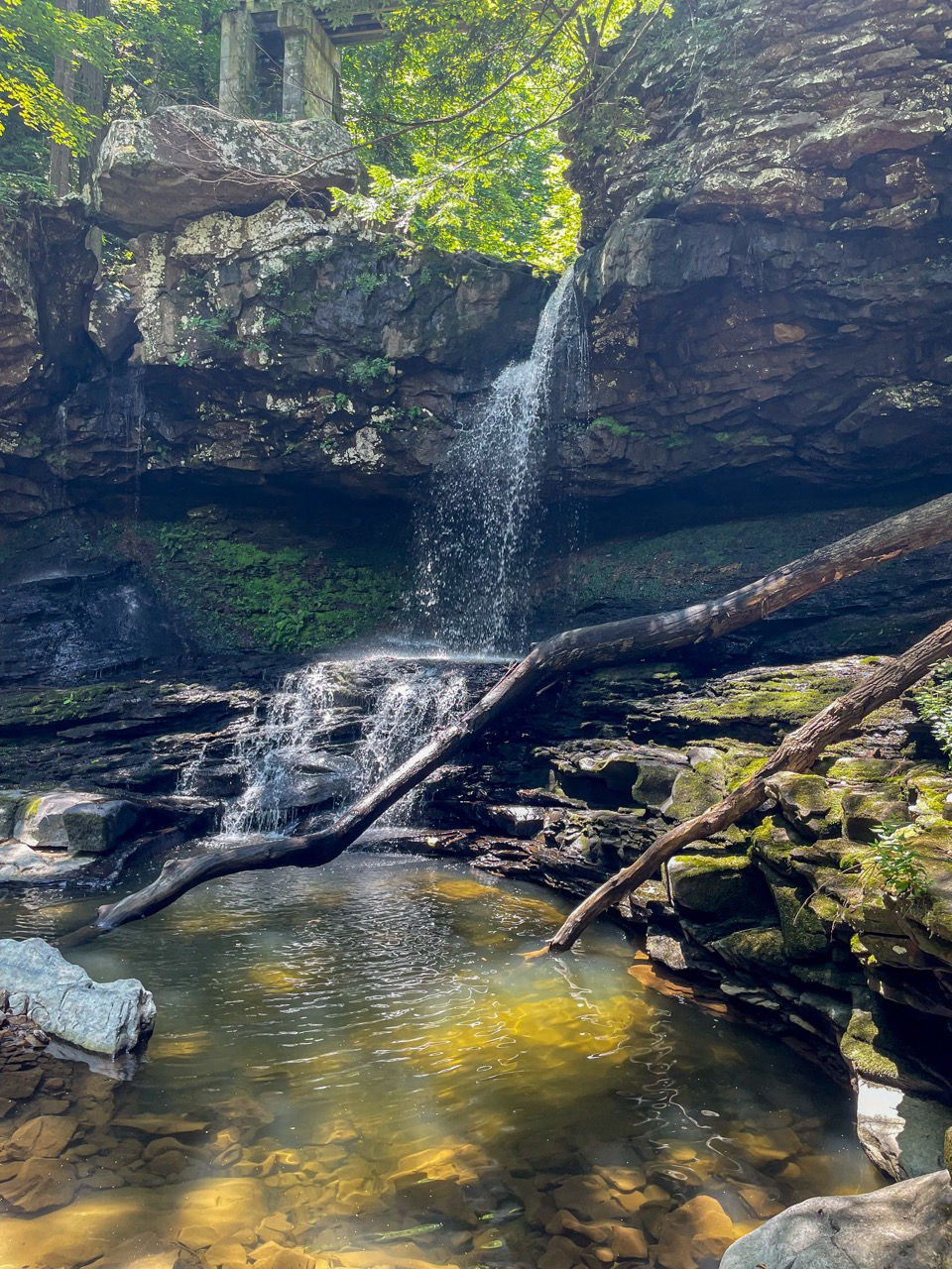 Close waterfall view with pool and fallen logs at Cloudland Canyon State Park.
