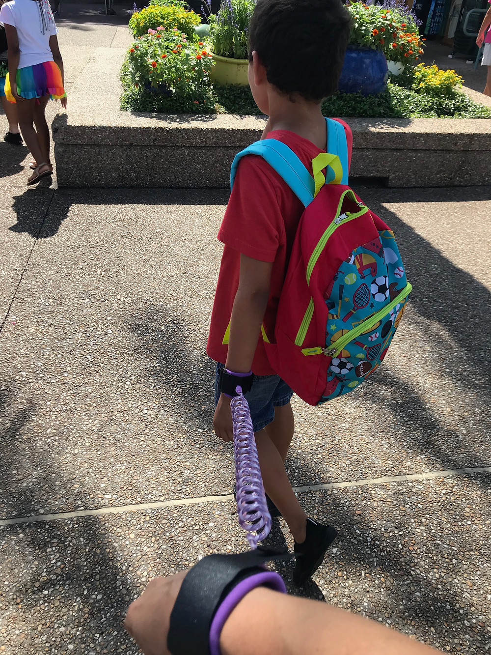 wearing wristband safety harness