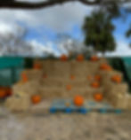 Pumpkin patch at Lakes Park Fort Myers