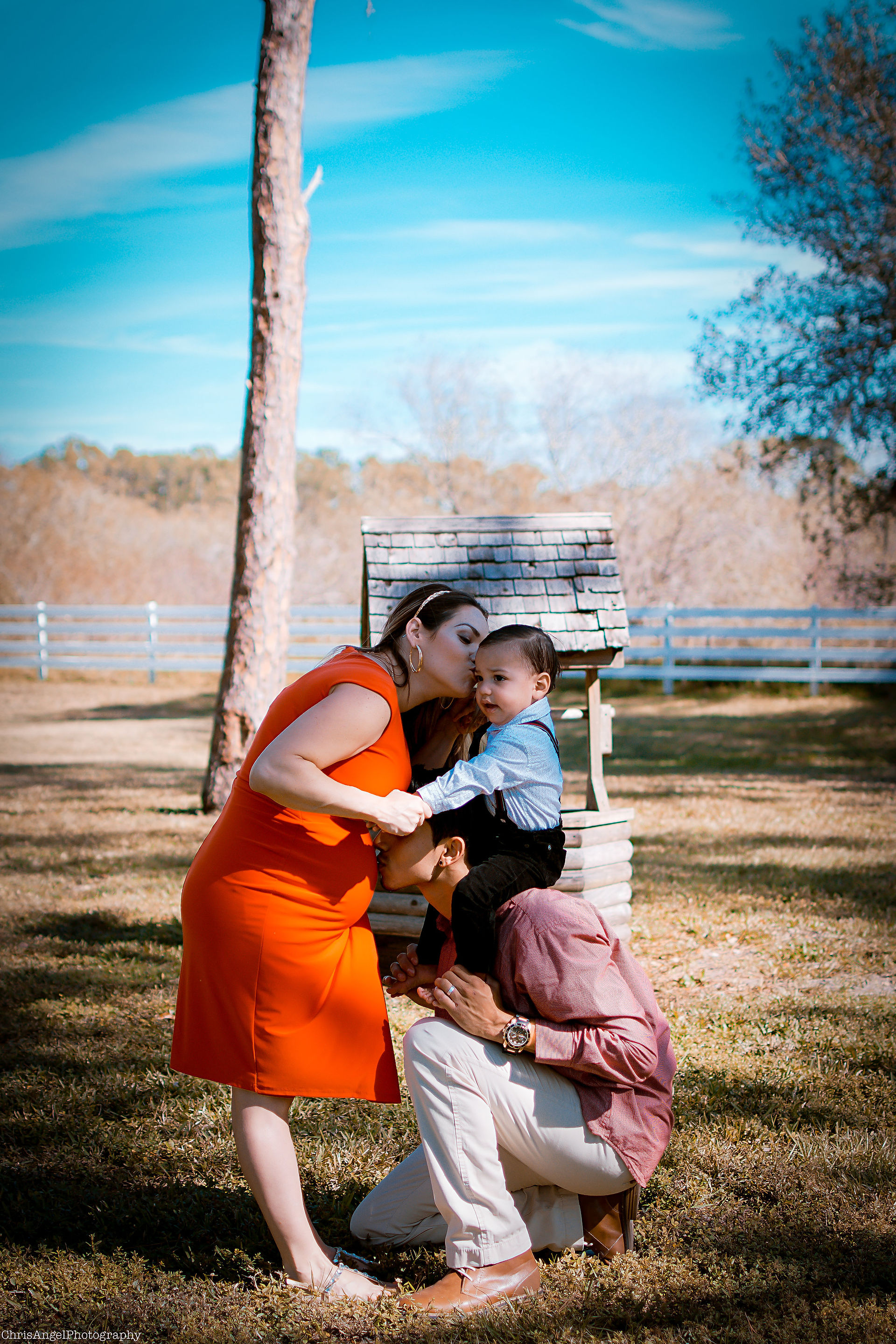 Family Farm Maternity Shoot