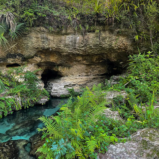 Starting point of Rocks springs at Kelly park near Orlando Florida