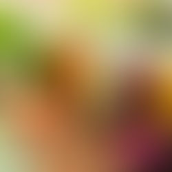 20 healthy juice recipes / The benefits of using a slow masticating juicer