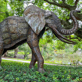 Elephant statue at Mounts Botanical Garden