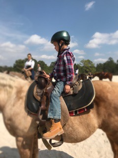 Boy on top of horse