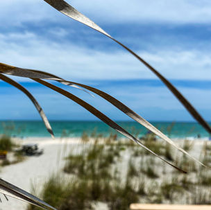 Stump Pass Beach | Southwest Florida beaches