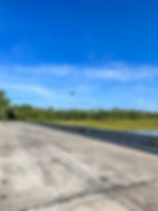 Bird flying across the bridge crossing over the Myakka river.
