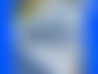 Double the Power: Introducing Windy Washers Essex's Two-Brush Waterfed System