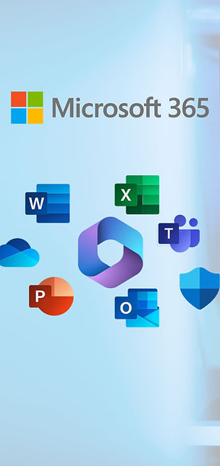 ms 365.jpg