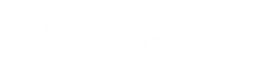 Pure Visuals (2).png