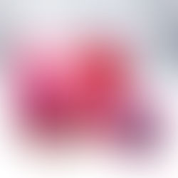 Baddie Baddie Shot O'clock Holiday Bundle