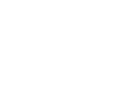 Asset 2.png