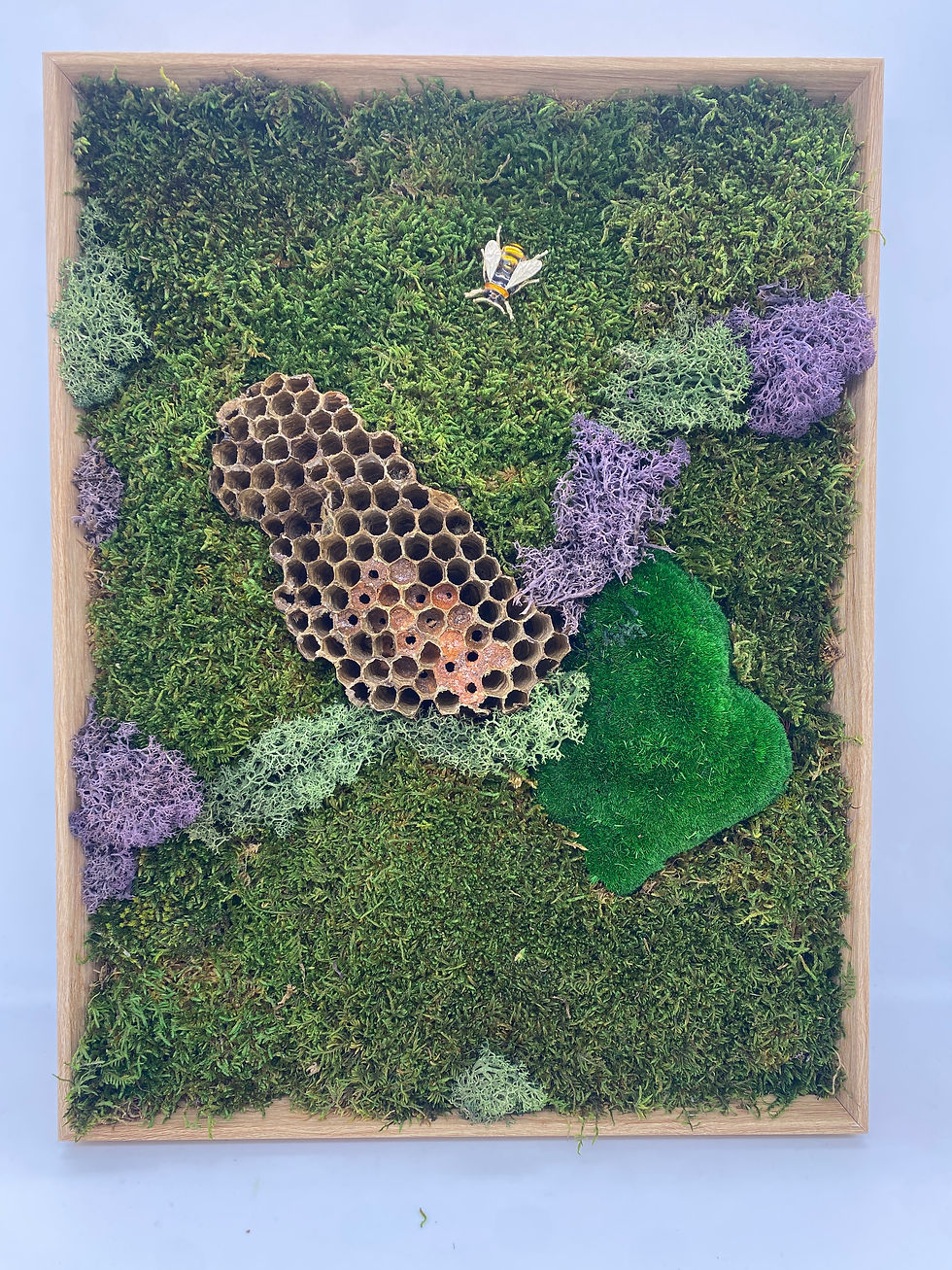 Μικρογραφία: Moss Frame Bee 