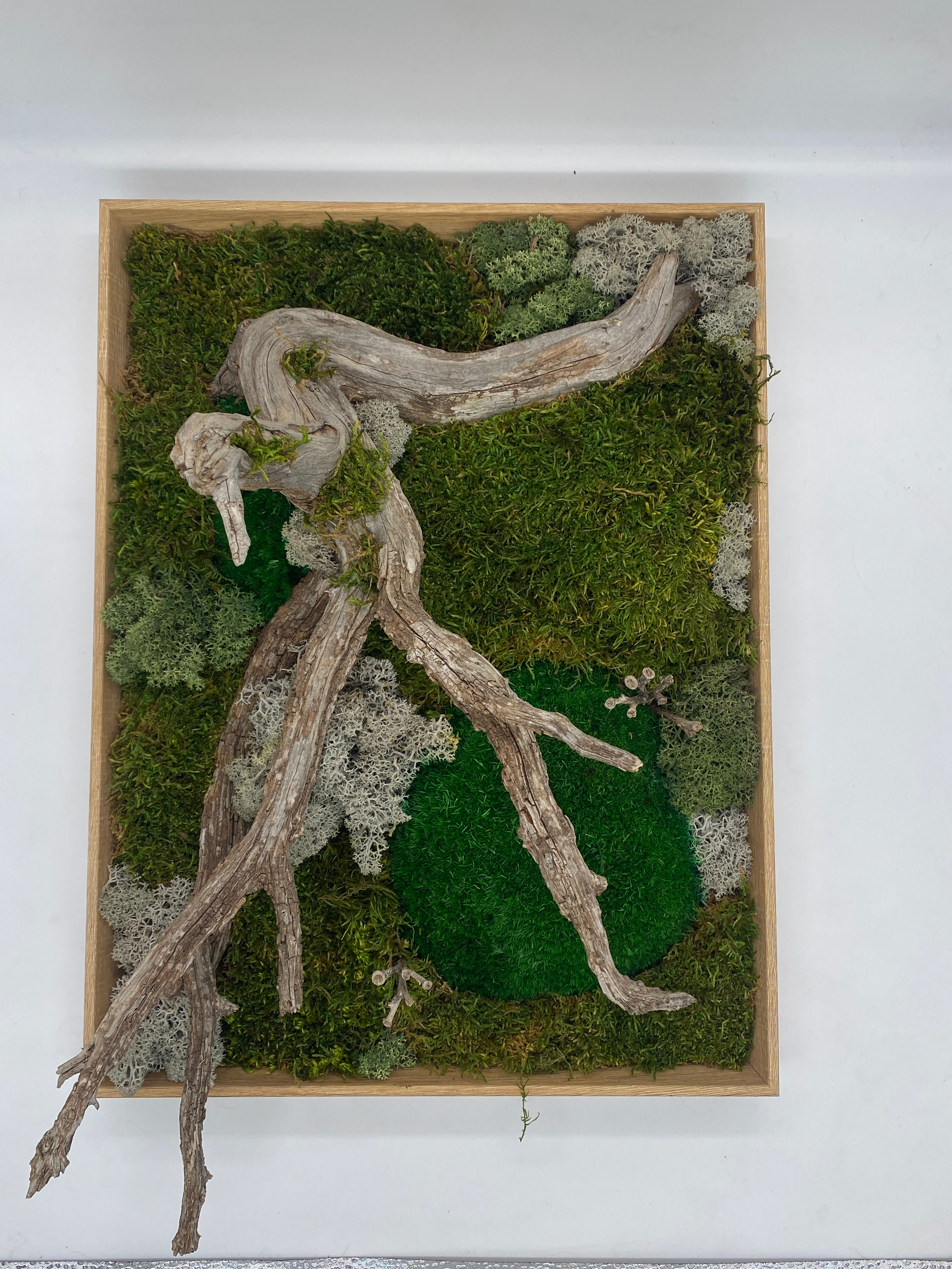 Moss Frame Santorini