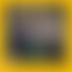 Nimble, lean and focused: the evolution of planners turned consultants