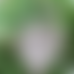 Challenge Eight - Elements of Nature