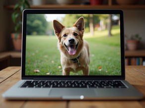 Mastering Dog Training Through Online Classes