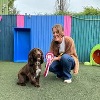 A lady sat next to her chocolate spaniel dog holding a rosette after passing a training level at Guns and Noses