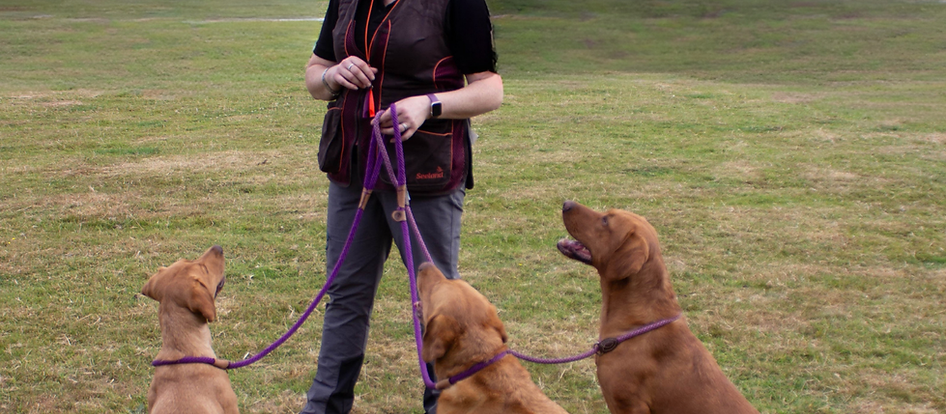 Manners Beyond the Gate - Field proof lead walking eBook