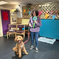 A lady stood next to her doodle dog holding a rosette after passing a training level at Guns and Noses