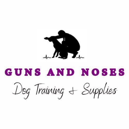 Writer: Guns and Noses