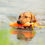Thumbnail: Water Dummies