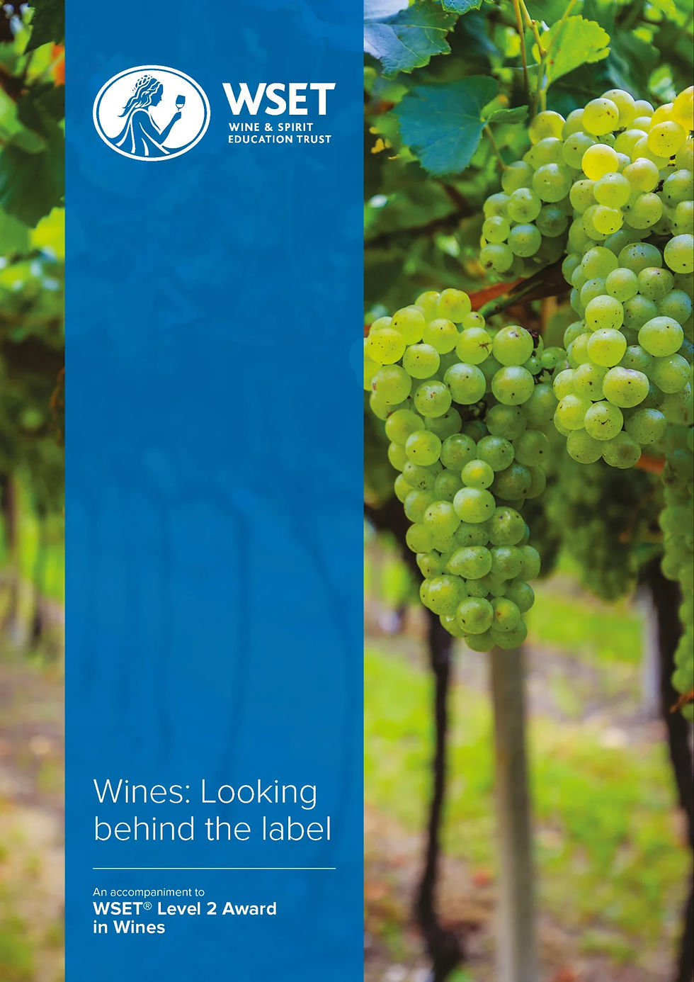 wset wines 2.jpg