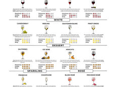 What Classifications Should You Decipher For Optimal Wine Choices?