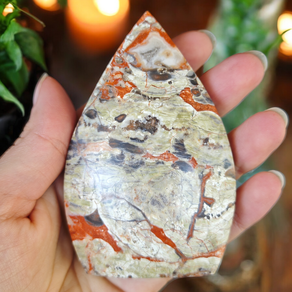 Miniature : Forme taillées money agate