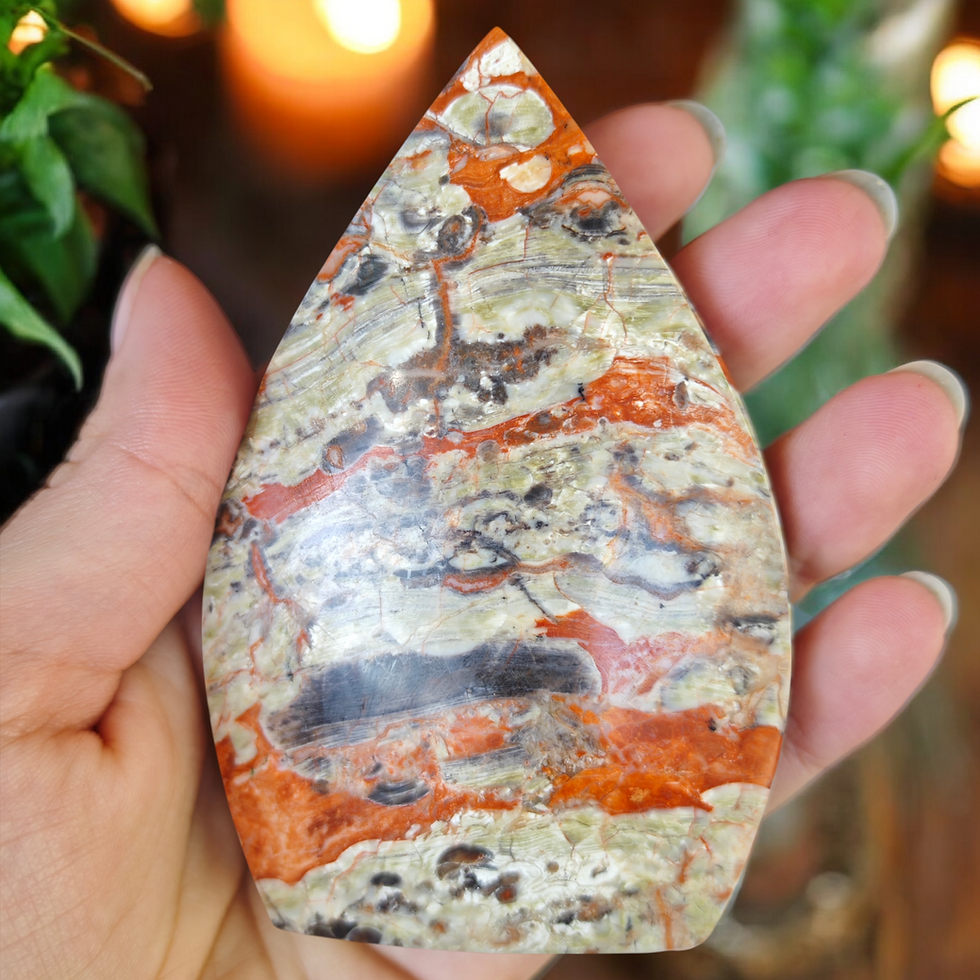 Miniature : Forme taillées money agate
