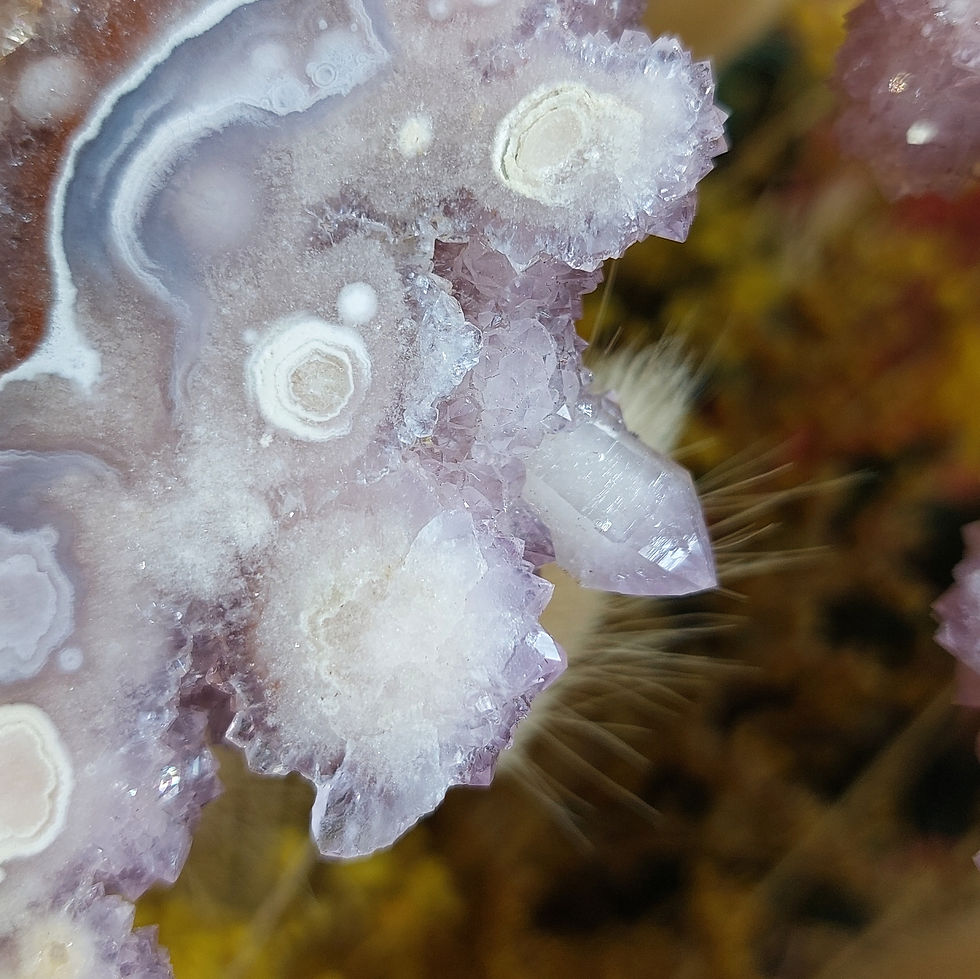Miniature : Incroyable pièce d'améthyste mariée à l'agate à fleurs et agate grise !