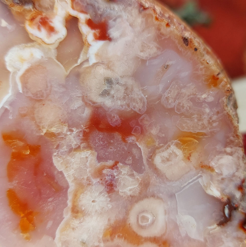 Miniature : Tranche de cornaline, agate rose et agate sakura à bords brutes
