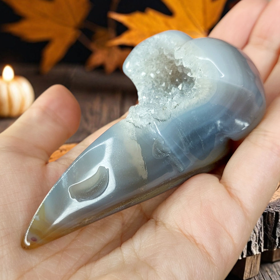 Miniature : Crânes de corbeaux en agate