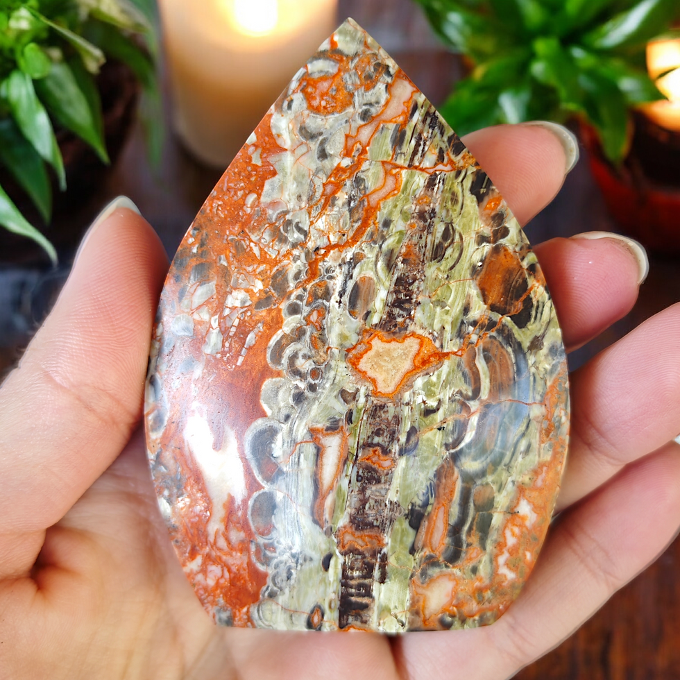 Miniature : Forme taillées money agate