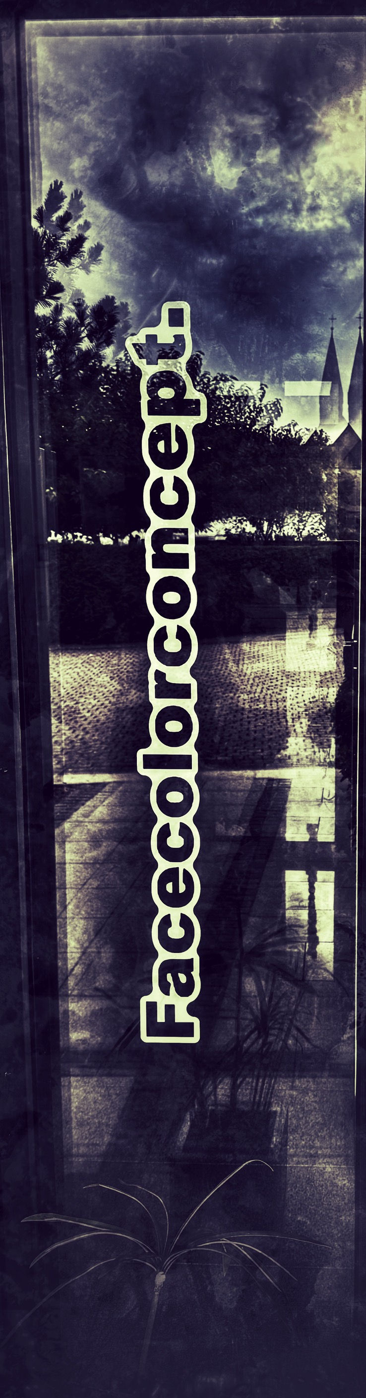 IMG_8016_SnapseedCopy