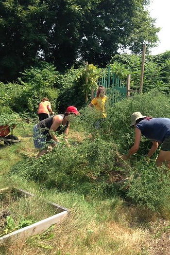 Claire (ECCGA volunteer, back left), Annie (ECCGA volunteer, front left), Emma (Assistant Director ECCGA, back center), and Emma (Assistant Farm Manager at Coogan Farm, right) weed raised beds.