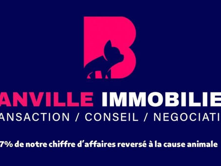BANVILLE IMMOBILIER