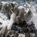 asbestos chrysotile fibers that cause lung disease, COPD, lung cancer, mesothelioma.jpg