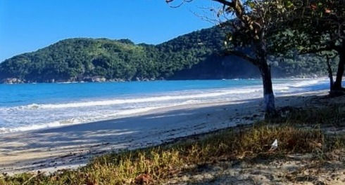 T14 - Abraão - Dois Rios - Ilha Grande