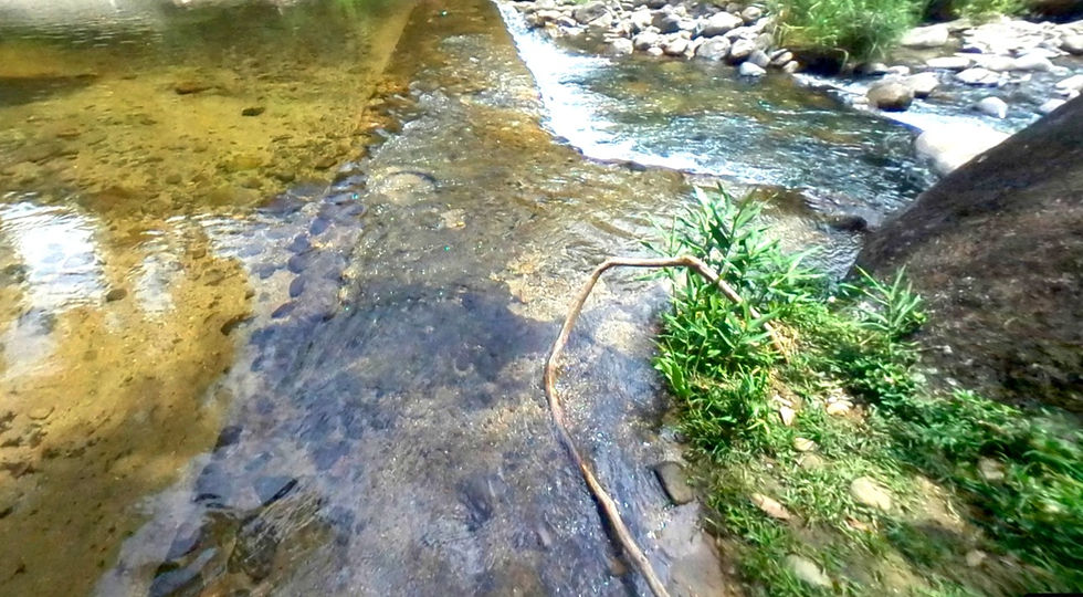 Poço da Laje