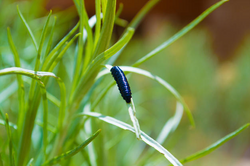 Screen Shot 2019-04-29 at 8.02.40 AM