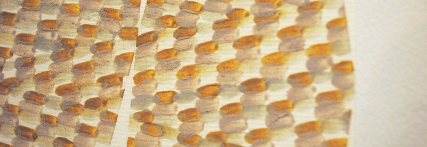 Close up of a painting by Raukura Turei showing the texture of earth pigment paint.