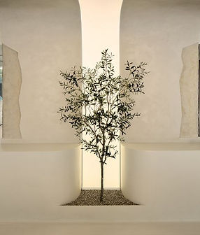 Monos Toronto Flagship - Picture gallery