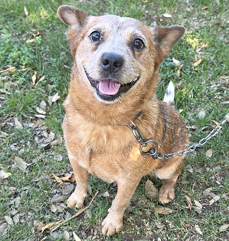 Sally_14.jpg