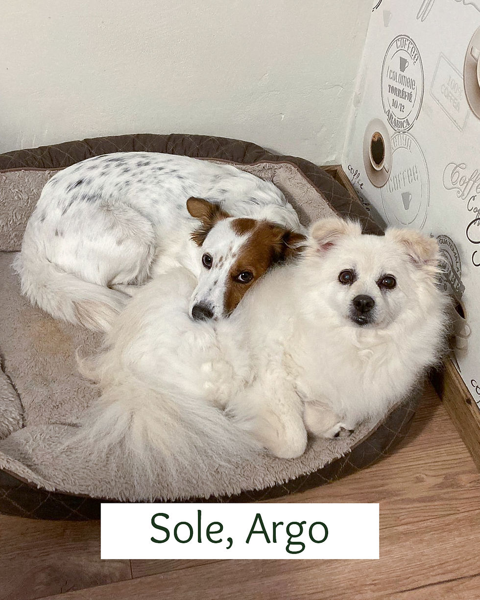 Sole und Argo
