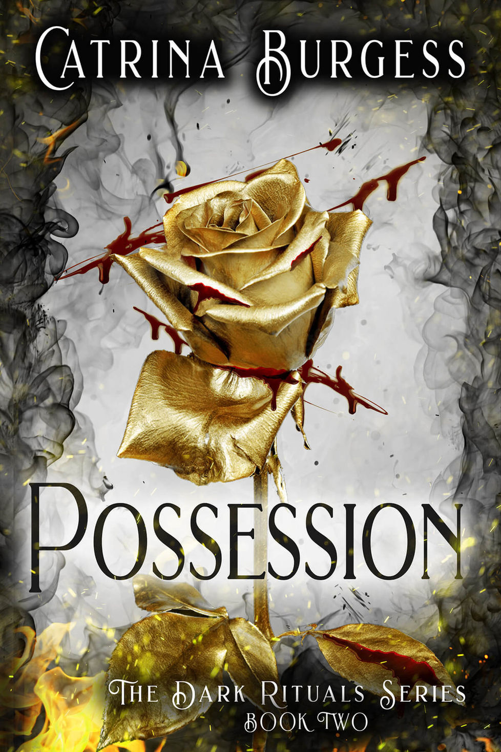 Book 2 The Dark Rituals Series.jpg