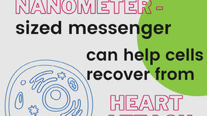The Mysterious Healing Power