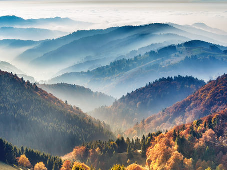 ESG Weekly News Update: September 3, 2021