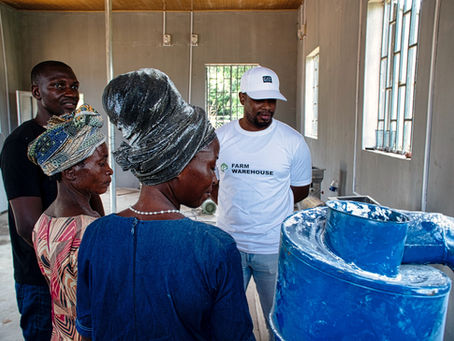 Powering inclusive rural development in Nigeria through clean energy and agriculture